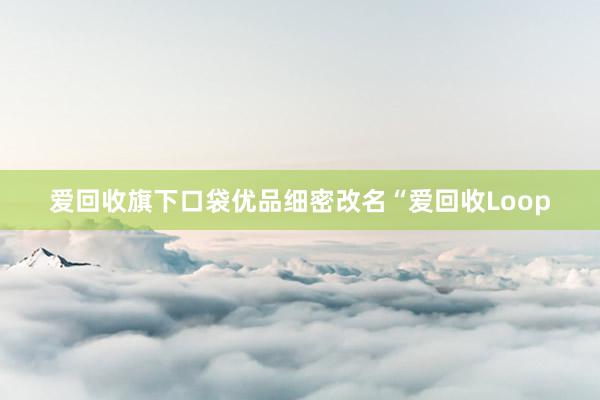 爱回收旗下口袋优品细密改名“爱回收Loop