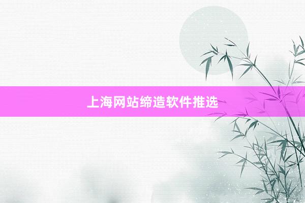 上海网站缔造软件推选